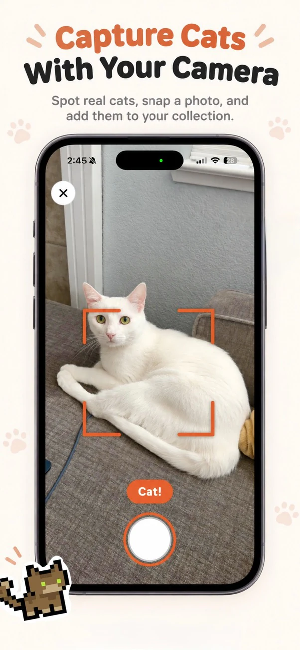 The camera view: a white cat framed by an orange viewfinder, with a Cat! confirmation above the shutter button.